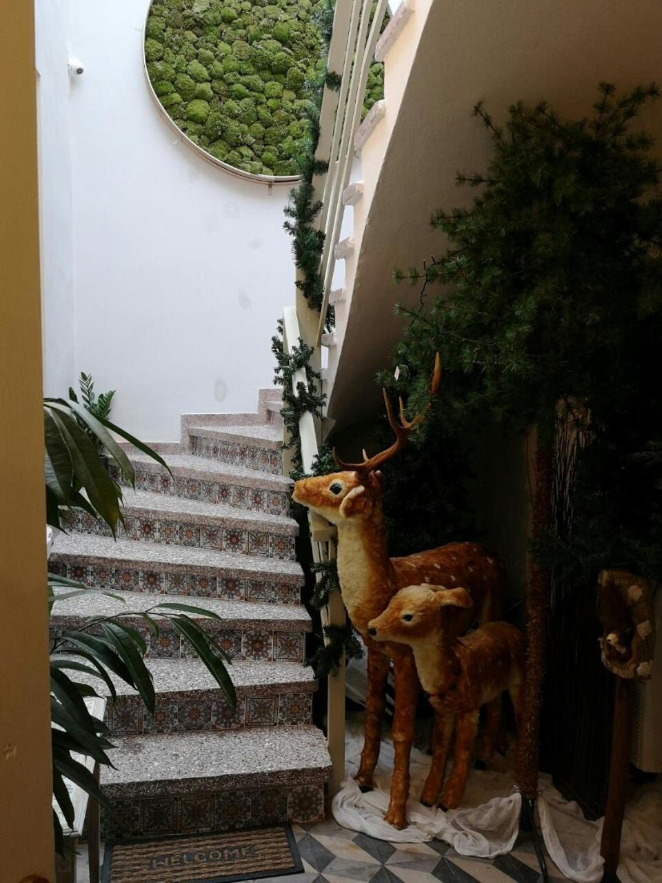 Sali Boutique Hotel Alexandrupoli Exteriér fotografie